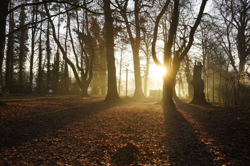 Reaseheath Re Opens Campus For Course Information Event Reaseheath College - Best Nature Illustrations in Mobile