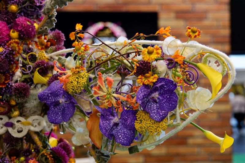 Ucr Florists Buzzing After World Cup Award University Centre Reaseheath - Premium City Wallpaper Gallery - Mobile