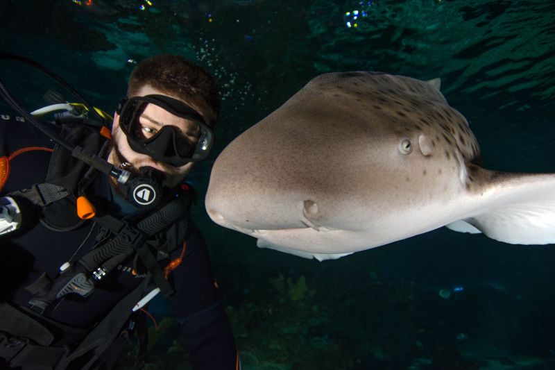 University Centre Reaseheath S New Public Lecture Series University Centre Reaseheath - Premium Colorful Wallpaper Gallery - Desktop