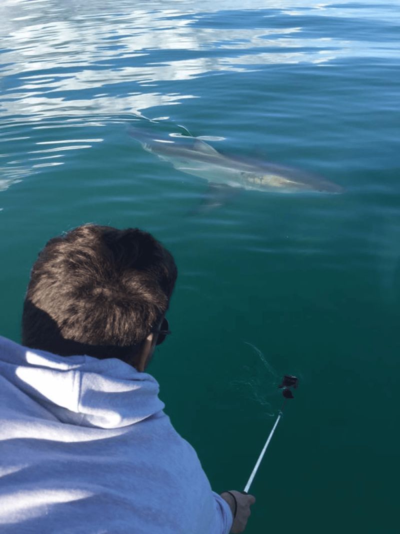 University Centre Reaseheath S New Public Lecture Series University Centre Reaseheath - Best Abstract Arts in 8K