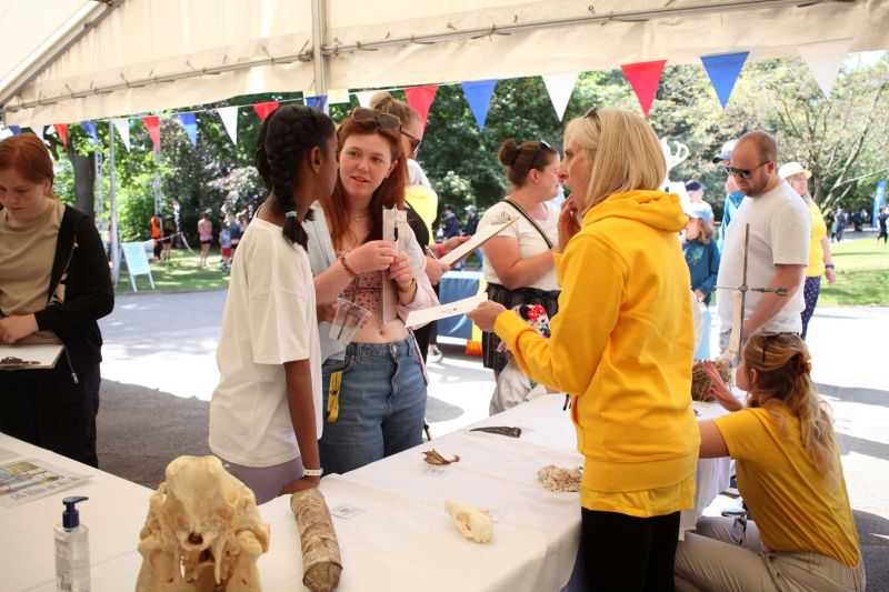 Reaseheath Family Festival Sunday 18 May 2025 - Download Artistic Nature Pattern | Retina