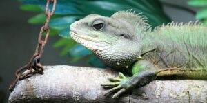 Fascinating Free Public Lecture Series Returns To Reaseheath University Centre Reaseheath - City Pattern Collection - Full HD Quality