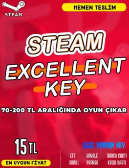 Steam Random (EXCELLENT) Key
