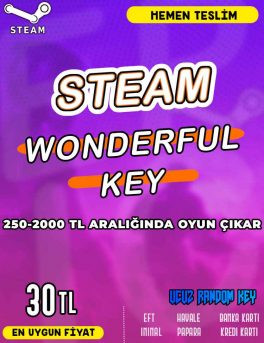 Steam Random (WONDERFUL) Key