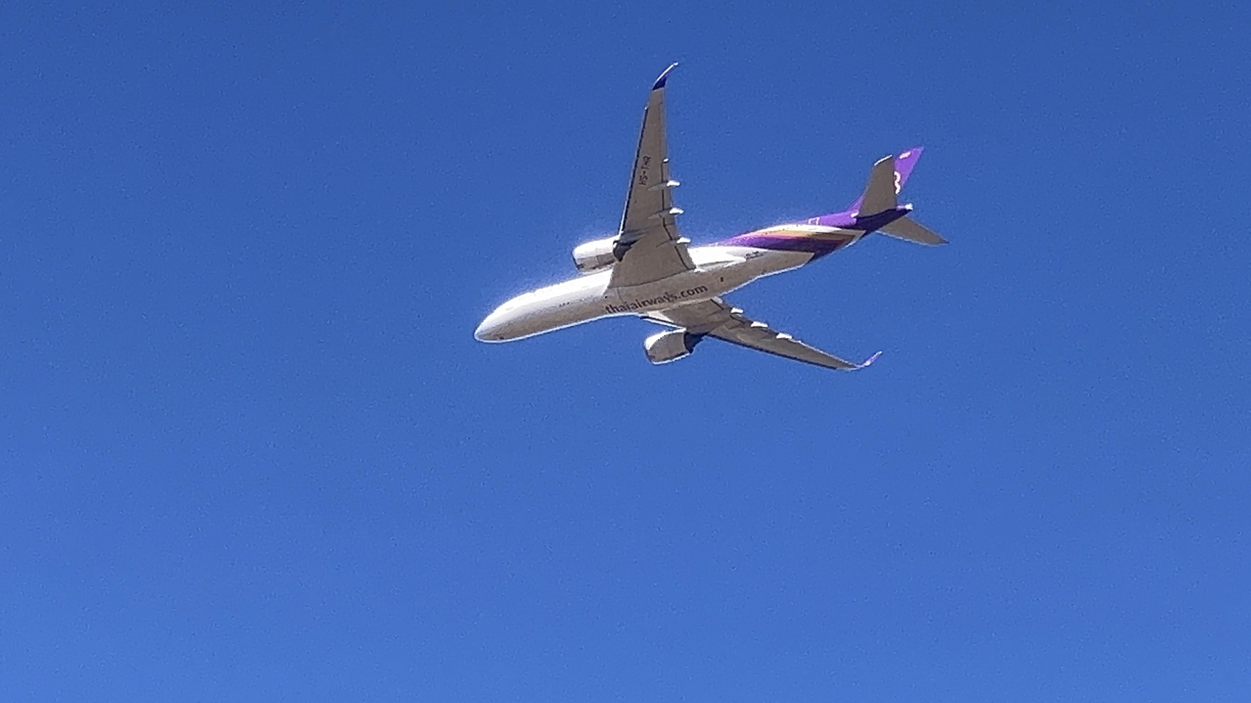 空中にあげあげ～～ – 電気通信大学陸上競技部