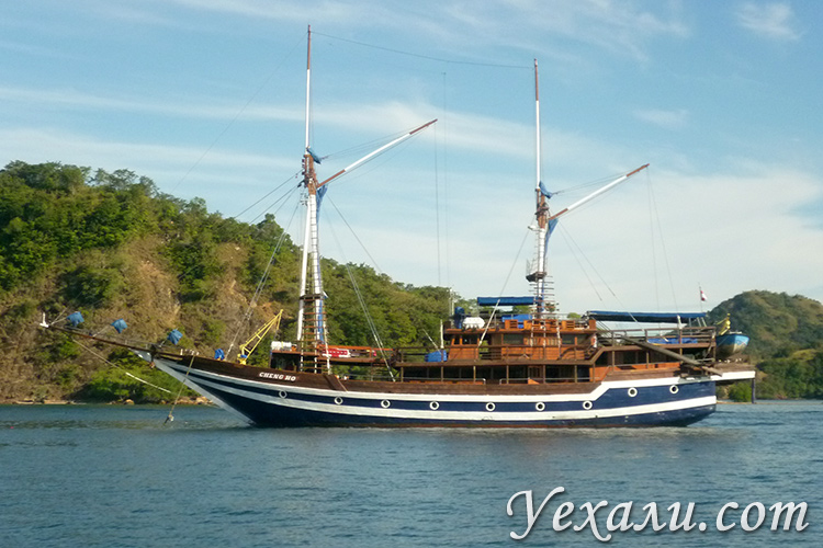Я долго не могла на нее попасть. Gde I Kak Zakazyvat Ekskursiyu V Nacionalnyj Park Komodo V Labuan Badzho