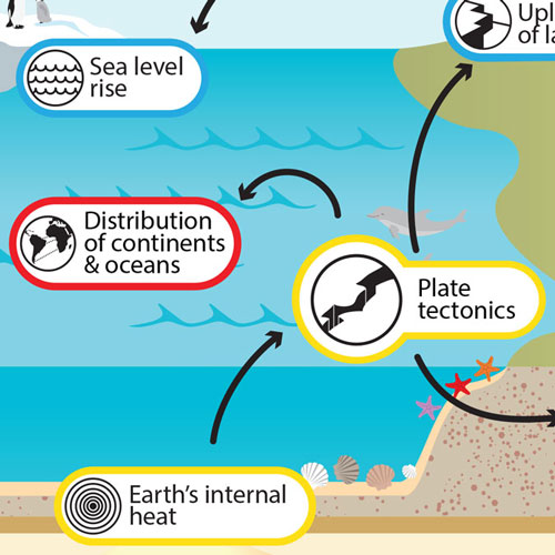 How Tectonic Plates Cause Earthquakes And Volcanoes - The Earth Images ...