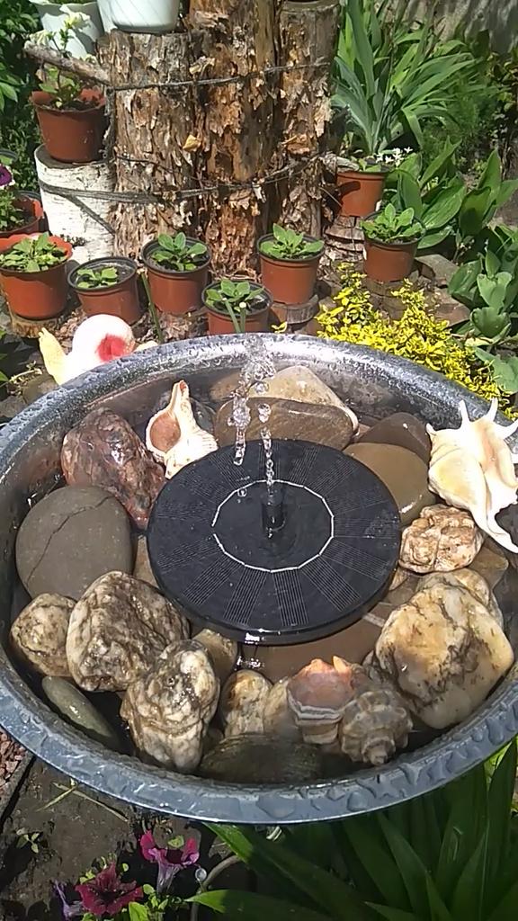 Патио в этом саду сотворено собственными руками и силами хозяев. Sad Patio Dekor Nasos Solnechnoj Energii Ptica Vanna Fontan Plavuchij Prud Kupit Nedorogo Vygodnye Ceny Besplatnaya Dostavka Realnye Otzyvy S Foto Joom