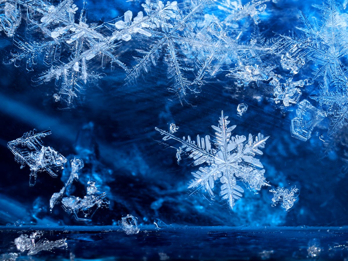 UIAAA Director's Cup Winter Team GPAs