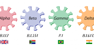 A béta variáns a koronavírus legmakacsabb változata