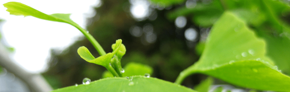 Geonapló: A tölcsér