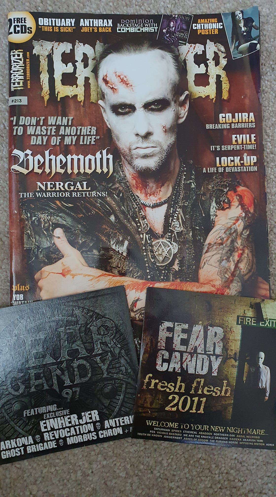 Terrorizer #213