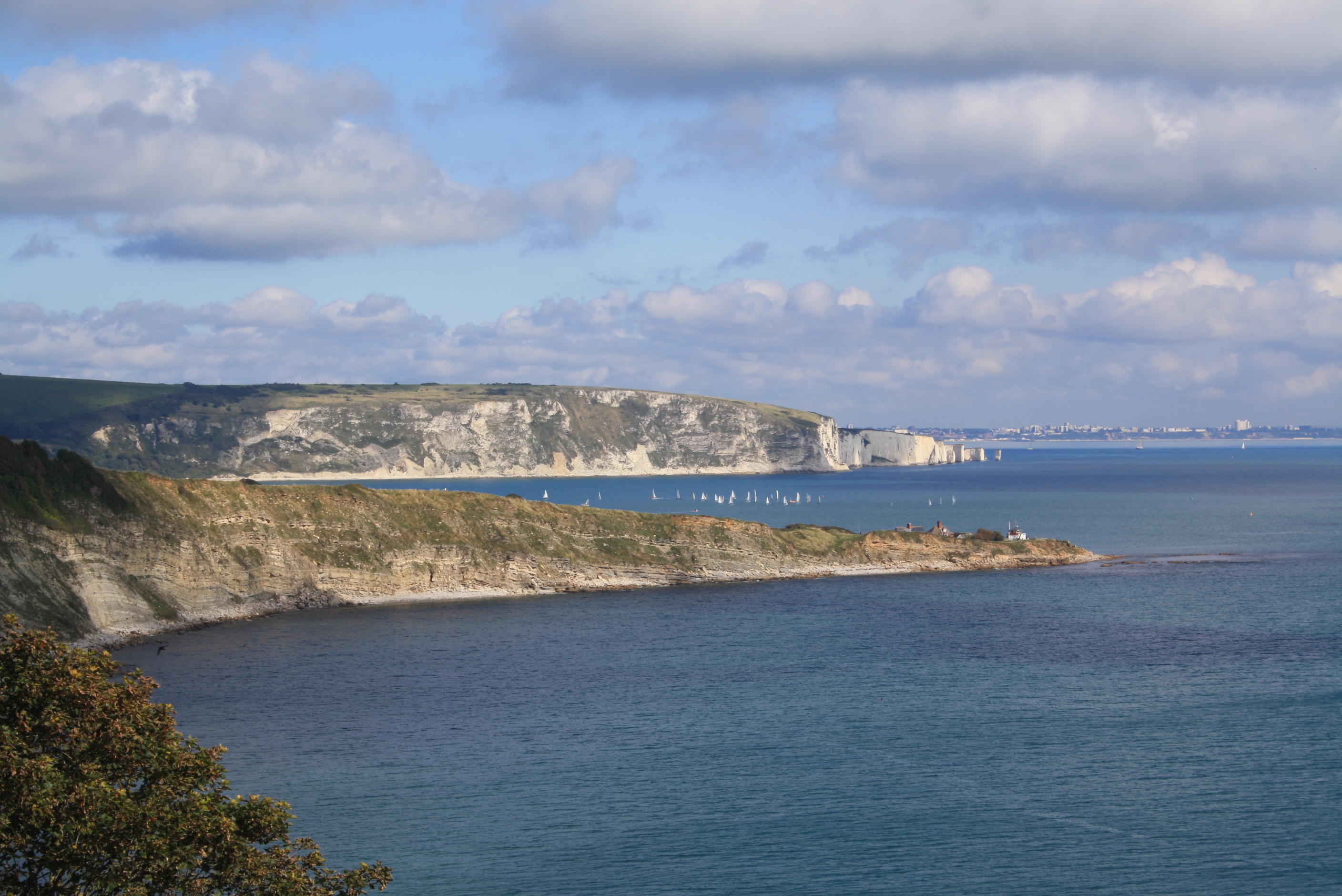 Durlston Bay towards Swanage