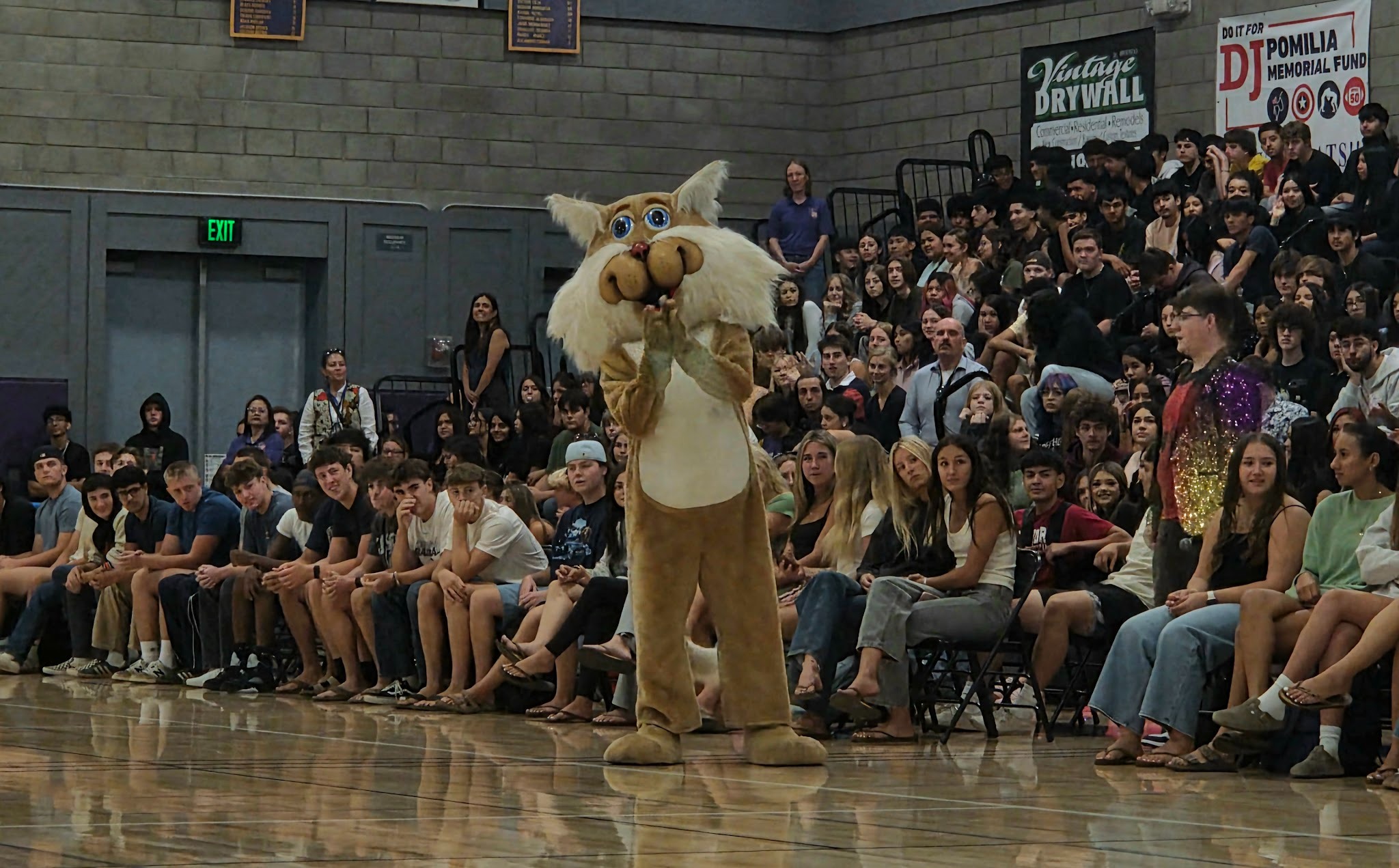 Welcome Back, Ukiah High! Wildcats Celebrate Our Return to School With a Rally