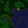 Ultima 5 Map Collection Pack