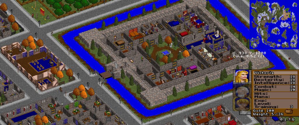 その他 ULTIMA ONLINE 7th ANNIVERSARY EDITION 51S1NWZ76VL._AC_UF350,