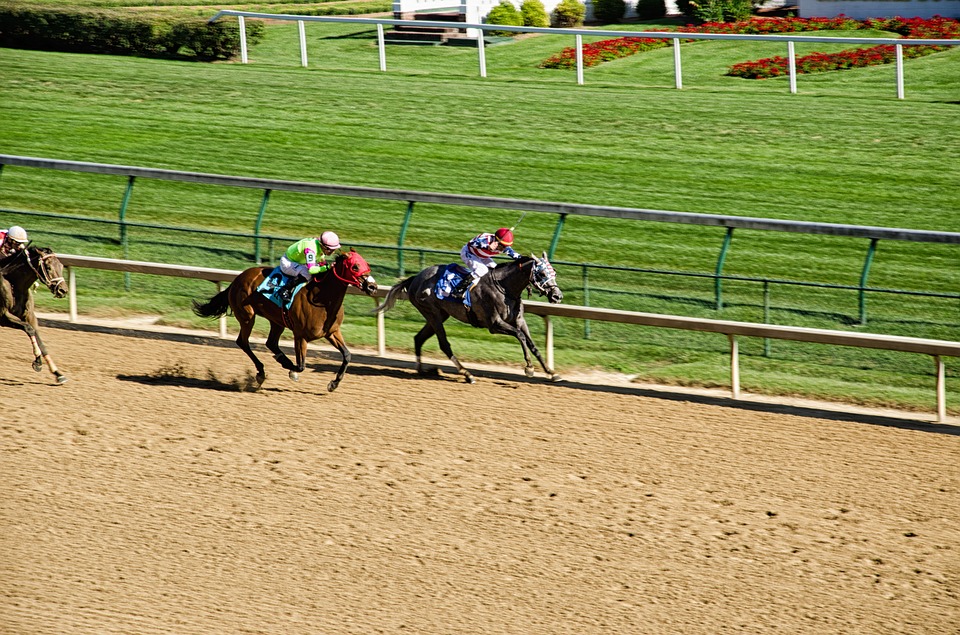 Ready to elevate your bets? Today S Free Parx Winning Horse Picks 2022