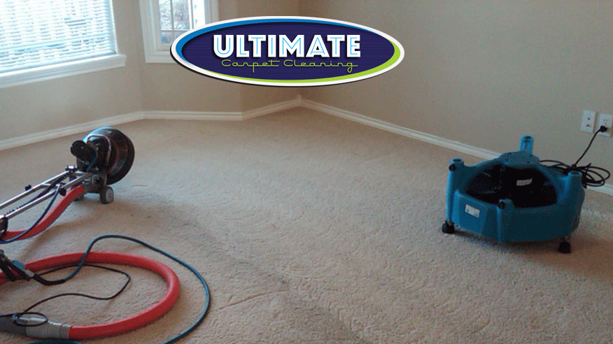 If you live in meridian, idaho and are looking for a reliable, trustworthy carpet cleaner, allied carpet care is your company. Ultimate Carpet Cleaning Boise