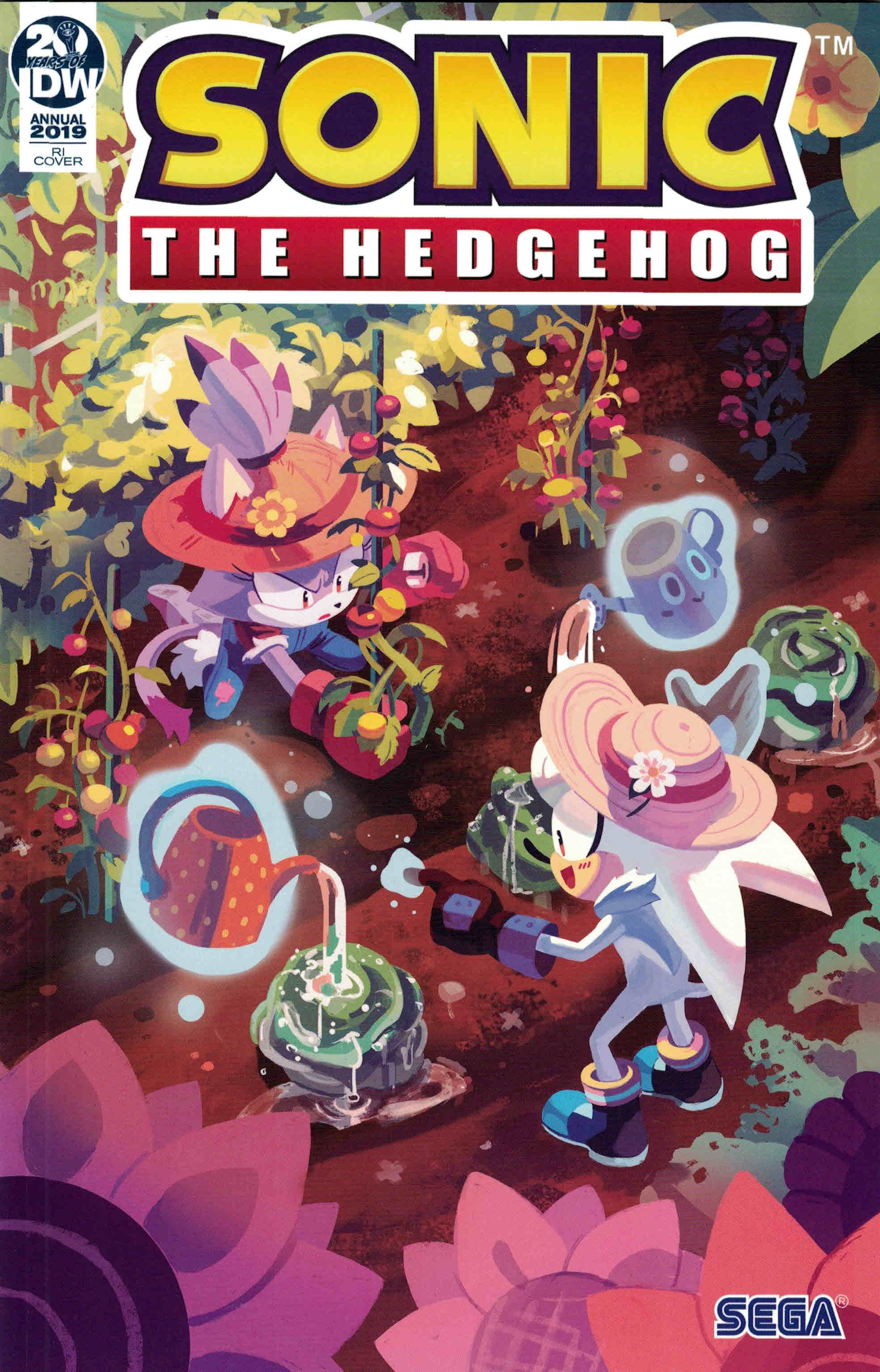 Sonic the Hedgehog Annual 2019 110 Foudraine Variant IDW Ultimate Comics