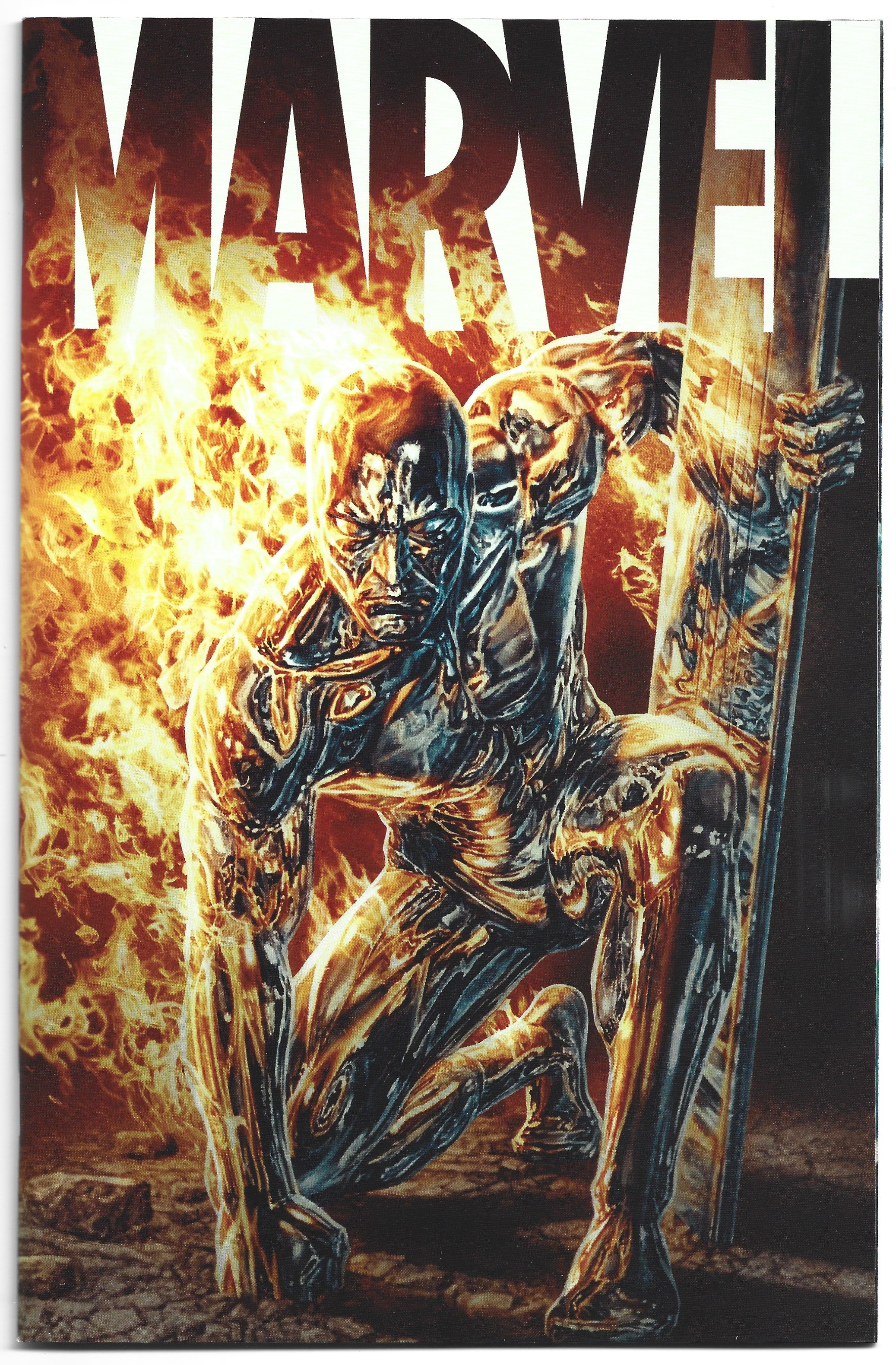 Marvel #6 1:25 Lee Bermejo Silver Surfer Variant 2020 Alex Ross VF