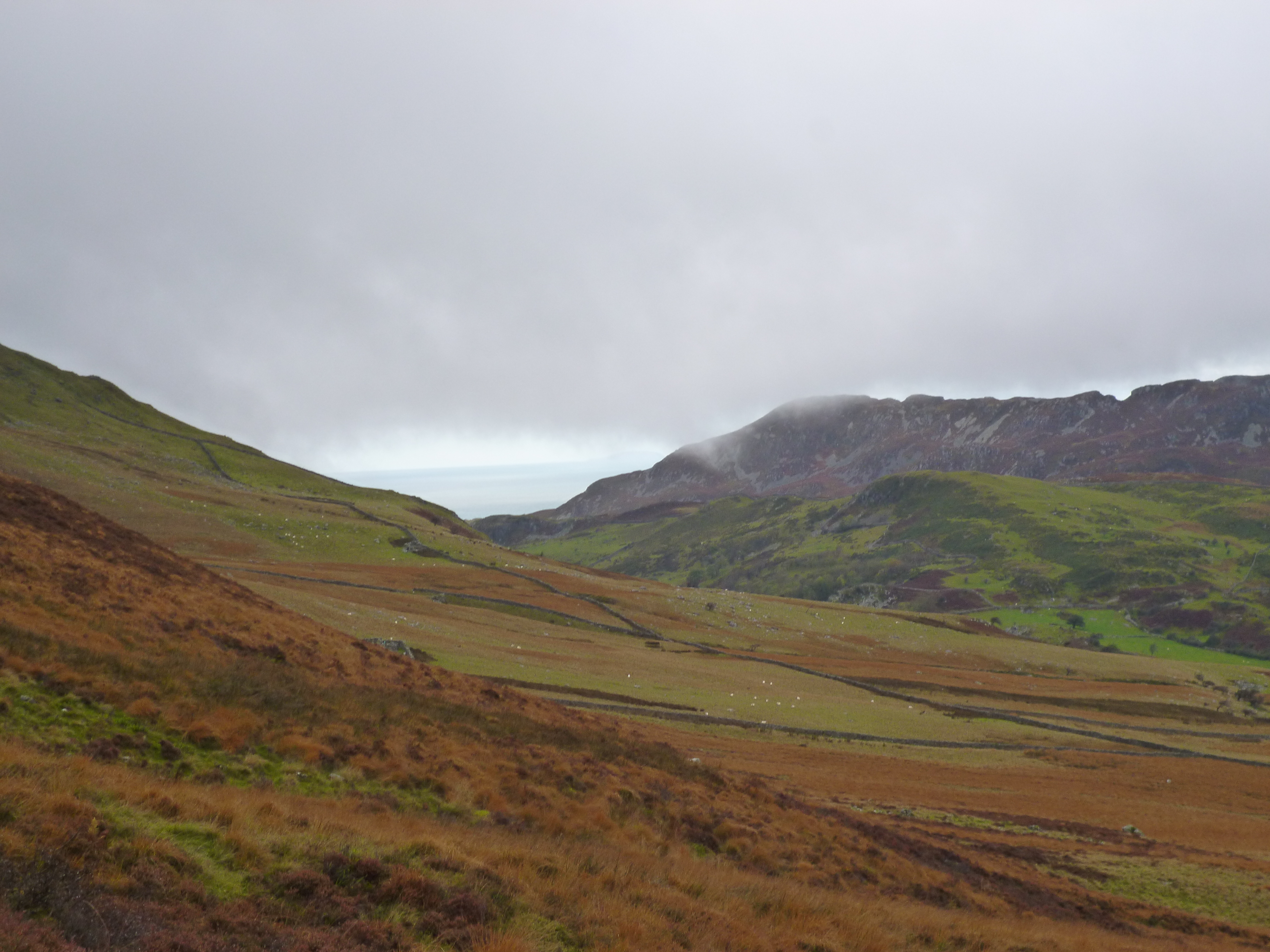 Cader Idris Views20