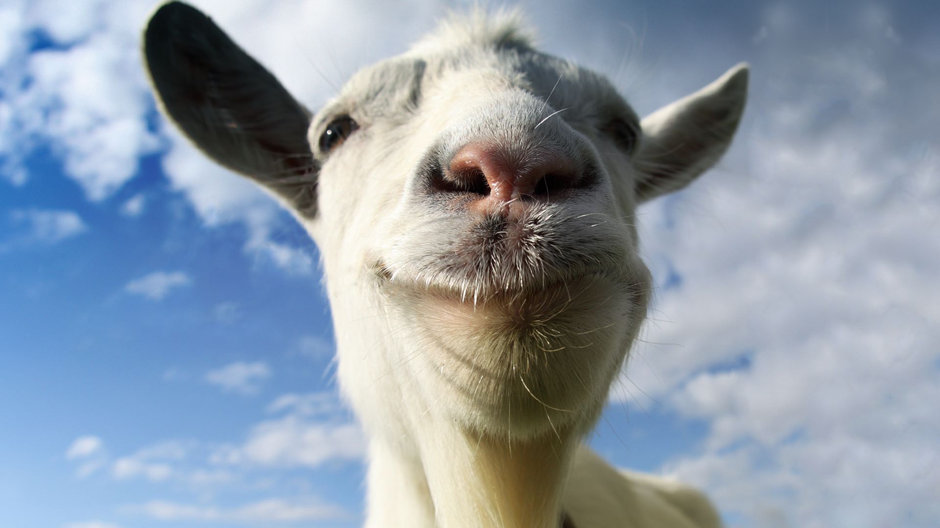 Now that crazy goat is available at even more platforms
