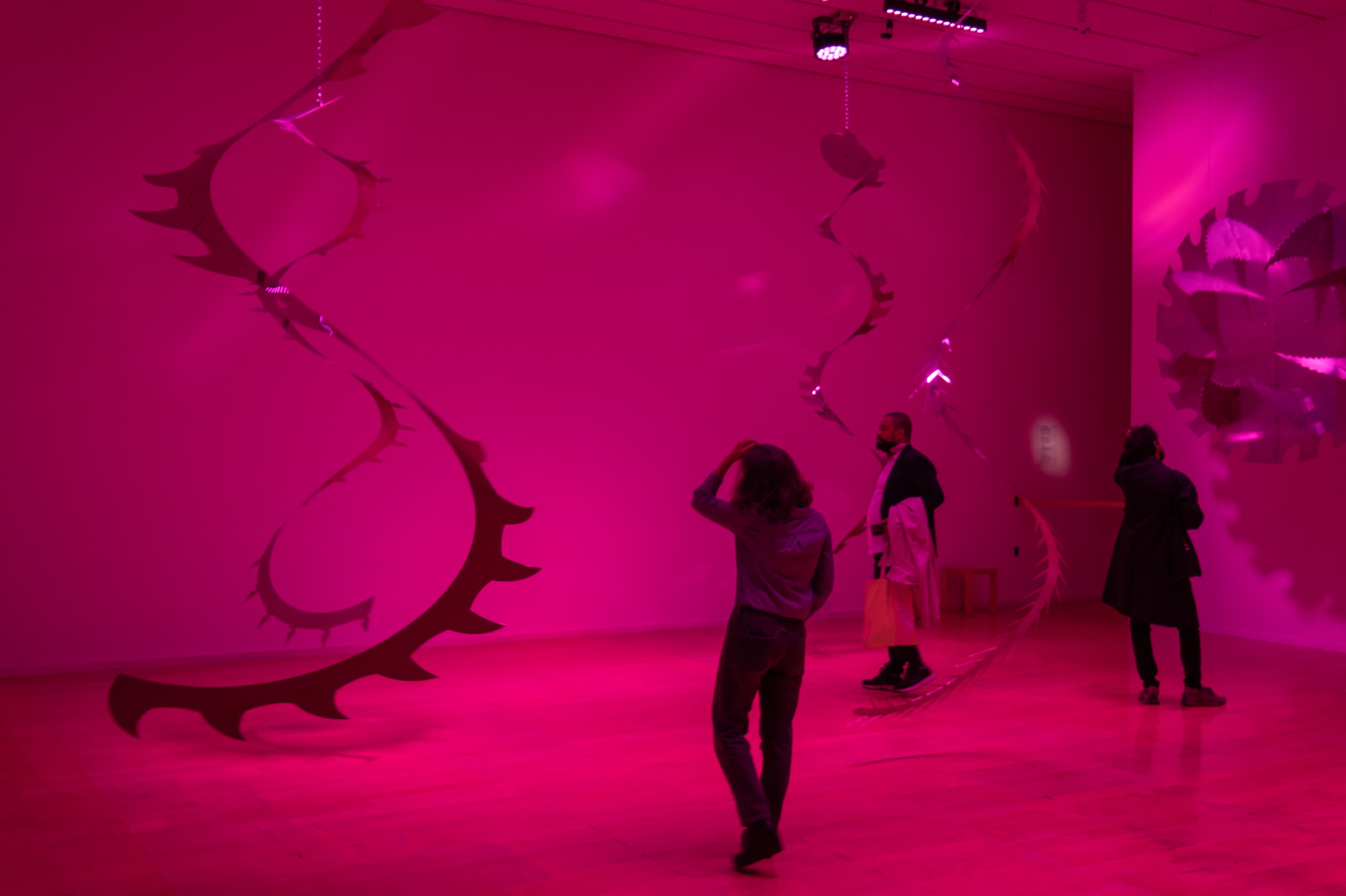Lyz Parayzo celebra 10 anos de carreira com exposição no Paço Imperial