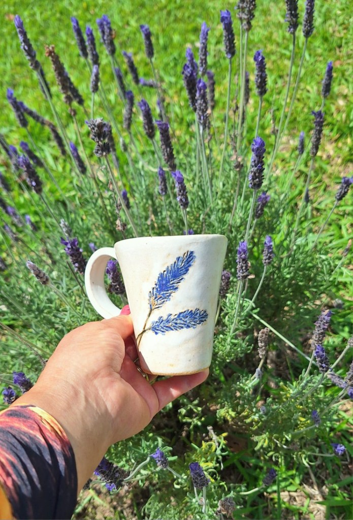 Cunha, no interior de São Paulo, estreia em outubro de 2026 a primeira Rota da Lavanda, iniciativa que reúne gastronomia, hospedagem, natureza, artesanato e experiências inspiradas na lavanda, um dos símbolos do destino.