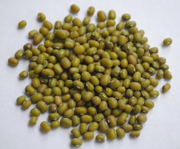 Mung lentils