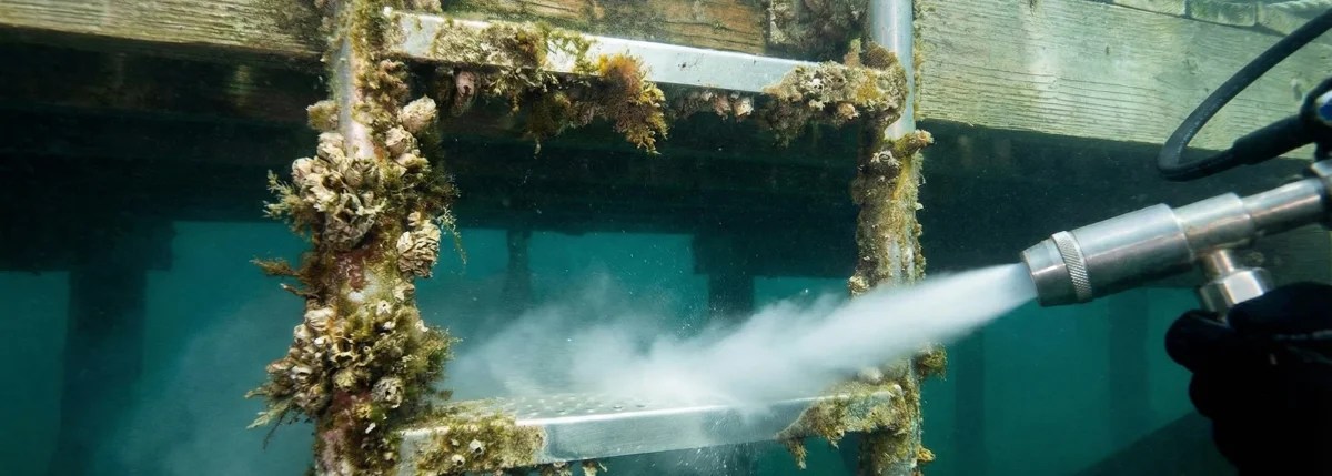 cavitation cleaning in South Florida