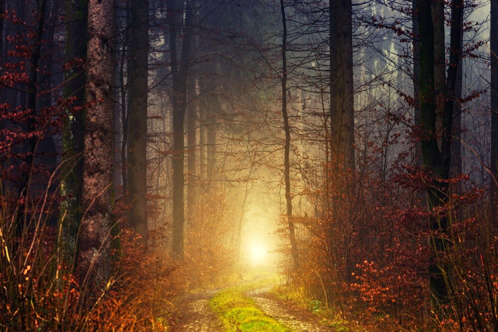 Hidden Hope