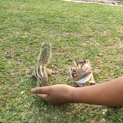 Ritwikmath - Premium Landscape Background Gallery - Mobile