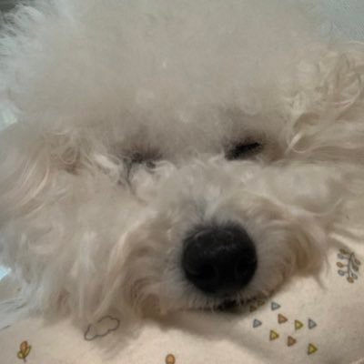 sweetmushrooom