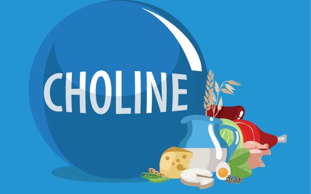 Choline: An Essential Nutrient