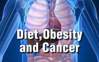 The connection between diet, obesity, and cancer: Nutrition experts explore the evidence