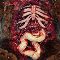Infect-a-Ted