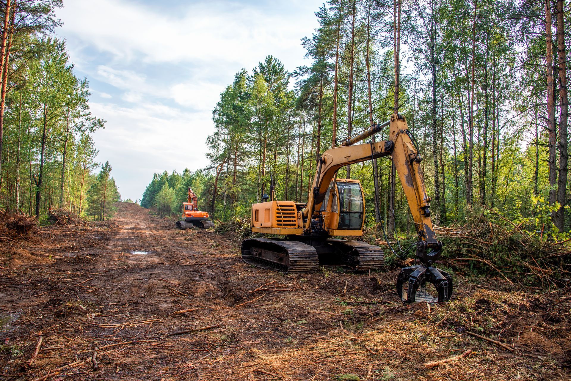 Right of way land clearing