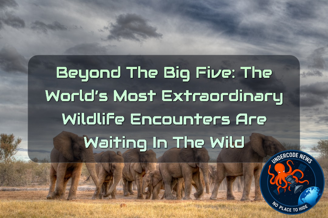 Beyond the Big Five: The World’s Most Extraordinary Wildlife Encounters Are Waiting in the Wild + Video