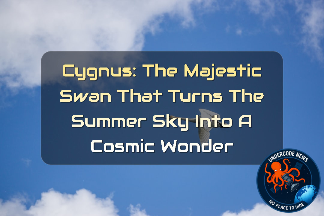 Cygnus: The Majestic Swan That Turns the Summer Sky Into a Cosmic Wonder