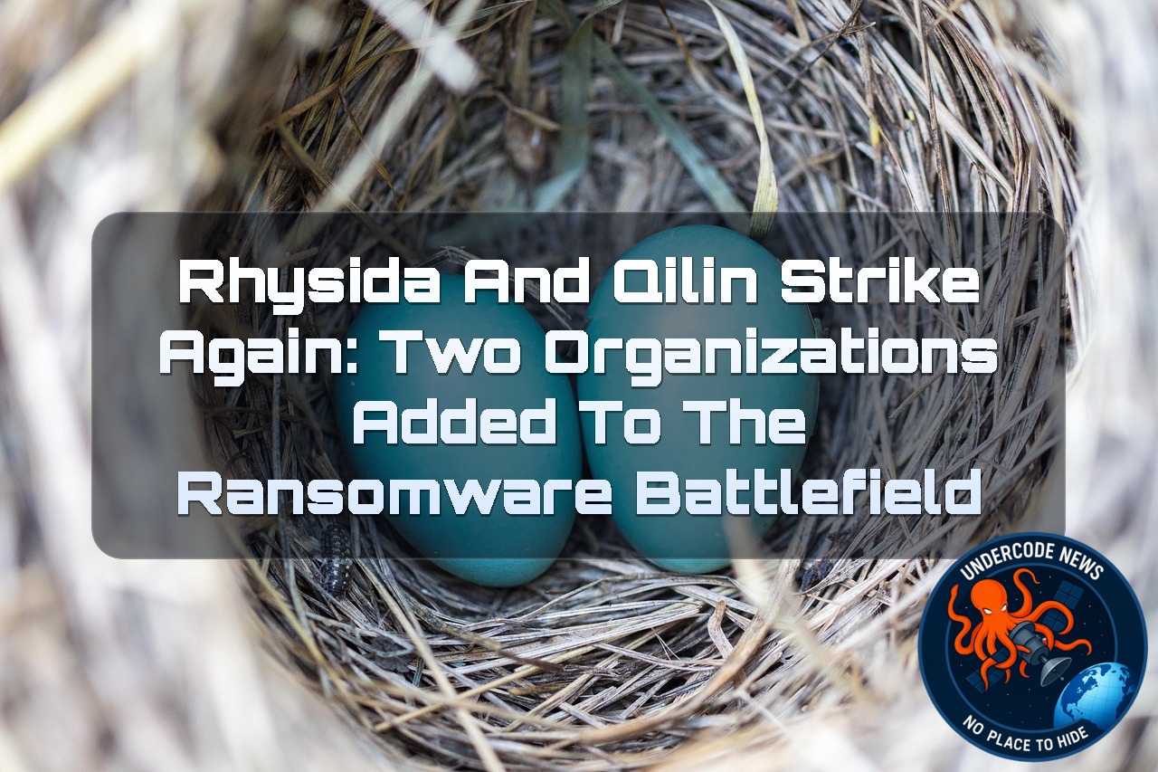 Rhysida and Qilin Strike Again: Two Organizations Added to the Ransomware Battlefield + Video