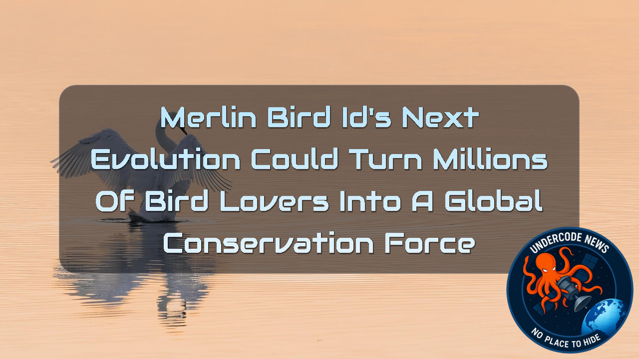 Merlin Bird ID’s Next Evolution Could Turn Millions of Bird Lovers Into a Global Conservation Force + Video