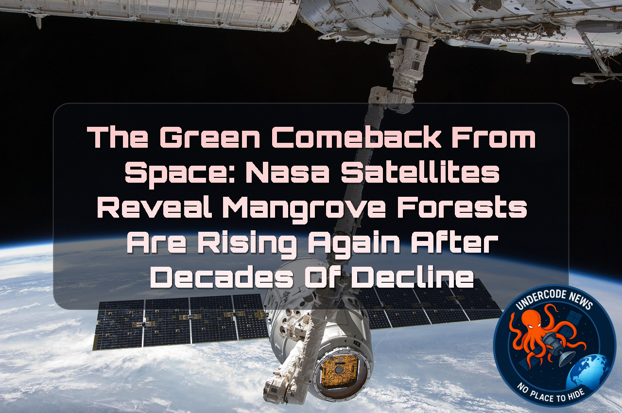 The Green Comeback From Space: NASA Satellites Reveal Mangrove Forests Are Rising Again After Decades of Decline + Video