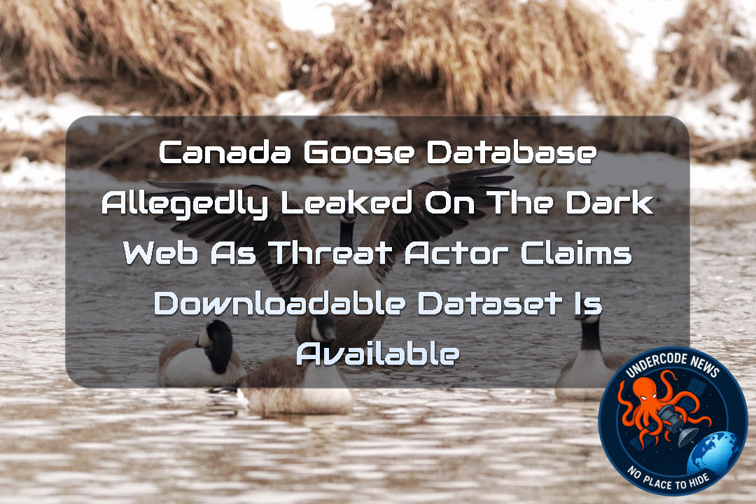 Canada Goose Database Allegedly Leaked on the Dark Web as Threat Actor Claims Downloadable Dataset Is Available + Video