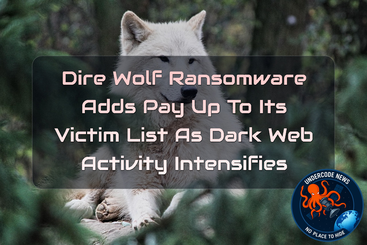 Dire Wolf Ransomware Adds PayUp to Its Victim List as Dark Web Activity Intensifies + Video