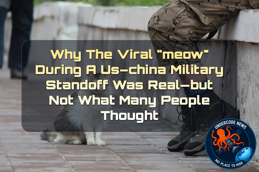 Why the Viral Meow During a US–China Military Standoff Was Real—But Not What Many People Thought + Video