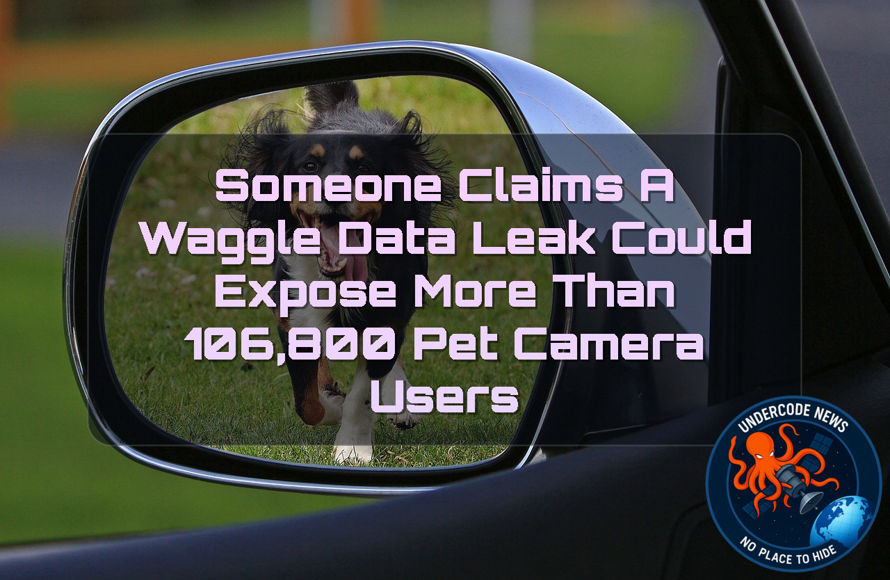 Someone Claims a Waggle Data Leak Could Expose More Than 106,800 Pet Camera Users + Video
