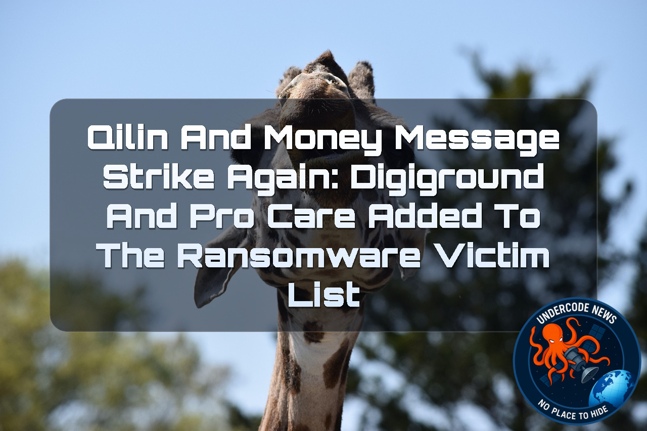 Qilin and MoneyMessage Strike Again: DIGIGROUND and ProCare Added to the Ransomware Victim List + Video
