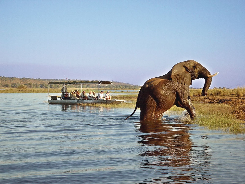 Under One Botswana Sky Blog