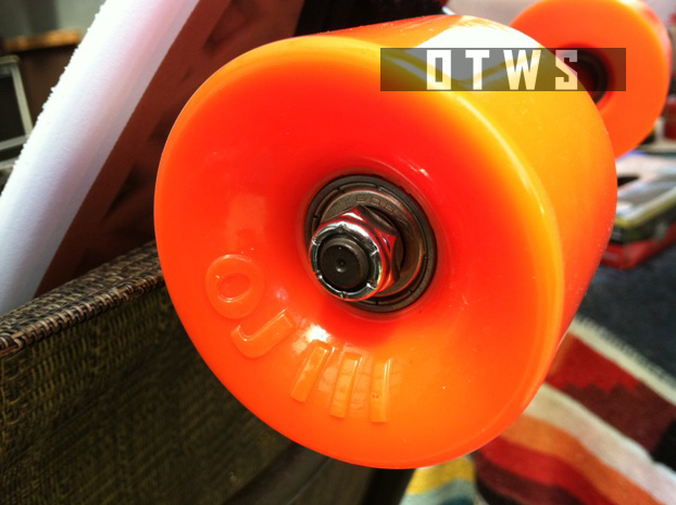Vans x Santa Cruz – Authentic Cruiser Deck - Under The Palms