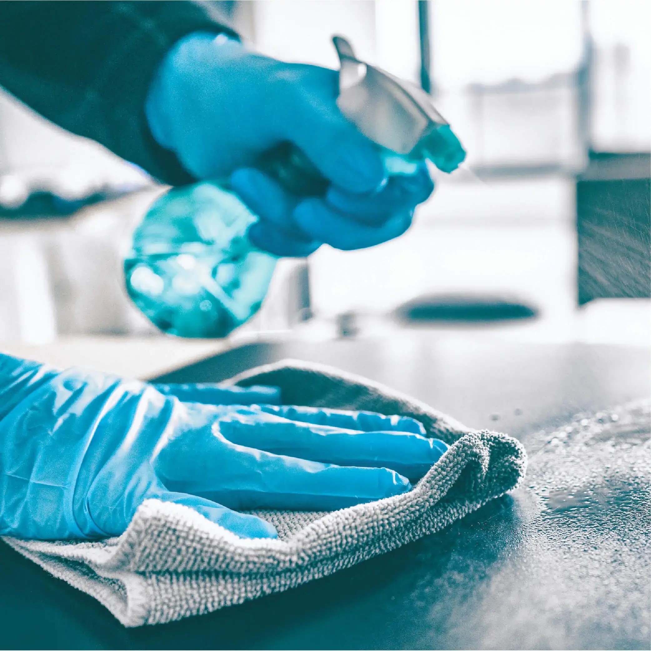 Carpet cleaning service san diego